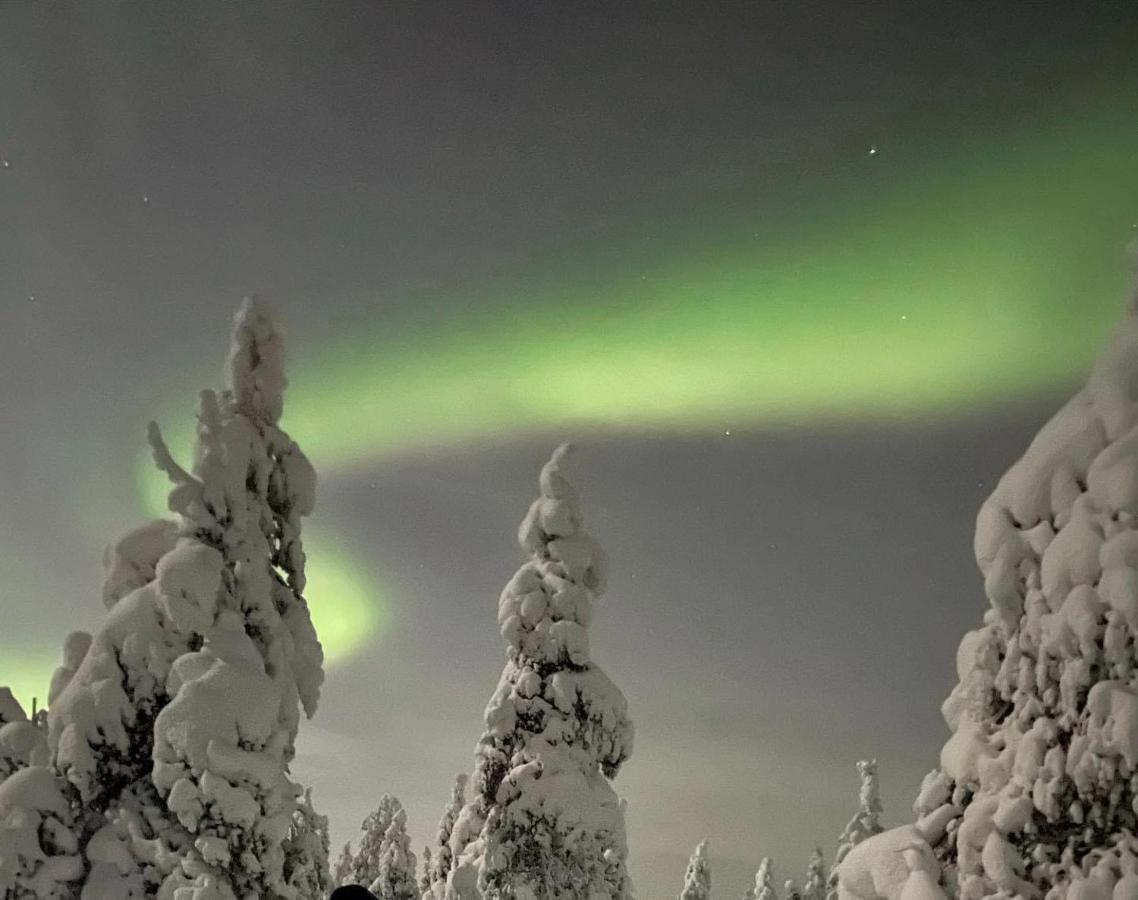 Sofia Rovaniemi City Apartment Ngoại thất bức ảnh